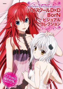 D×D_BorN__cover